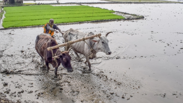 Linking Aadhaar To Irrigation Pump Set Energy Department Letter