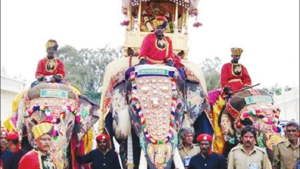 Mysuru Dasara 2024 What Is The Speciality Of Dasara Elephant Balarama