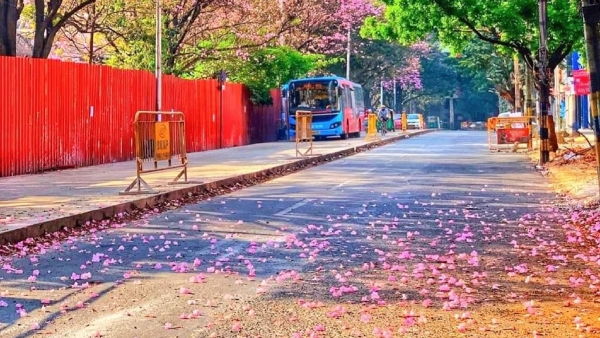 BBMP Is Ready To Take A Huge Loan For The Development Of Bengaluru BBMP Is Ready To Take A Huge Loan For The Development Of Bengaluru