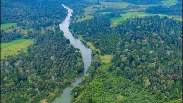 Technical Expert Committee Give Report About Deterioration In Cauvery River Water Quality