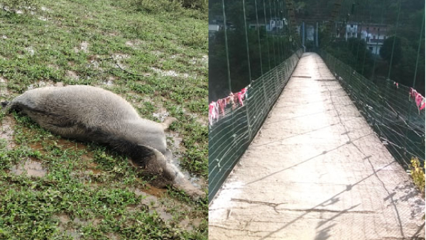 chikkamagaluru news family members carried sick old woman on bridge