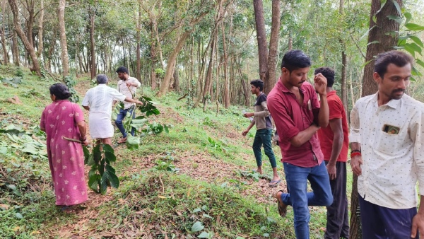 Only the coffee plantation of the poor is cleared A tearful family in Chikkamagaluru