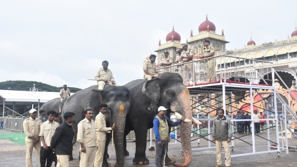 Mysuru Dasara 2024 Gold Card Jumbo Savari And Torchlight Ticket Fare