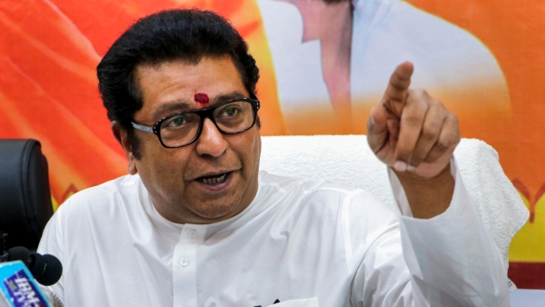 Maharashtra Assembly Elections 2024 First Hold Local Body Elections Raj Thackeray