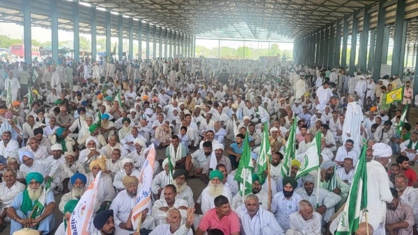 Farmers Have Decided Not To Support Any Party In The Haryana Assembly Elections