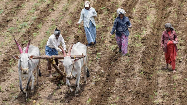 the farmers are suffering due to the negligence of the district administration