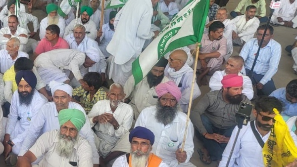 Farmers Have Decided Not To Support Any Party In The Haryana Assembly Elections