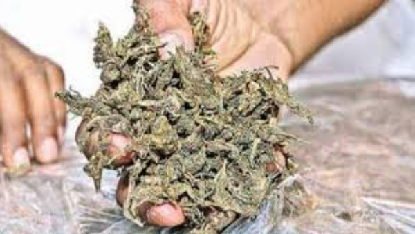 Police Arrest Mother Who Brought Ganja To Her Son