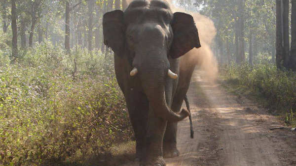 Hassan news fire in a moving omni car elephant came to the road