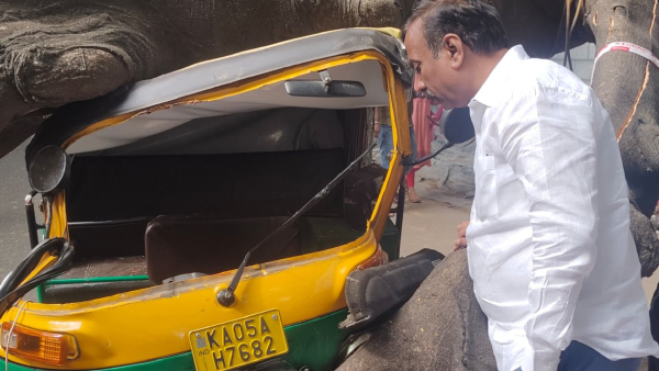 A Huge Tree Fell On A Moving Auto In Bangalore