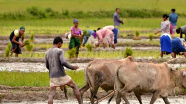 Good News Jharkhand Government has waived farmers agriculture loan