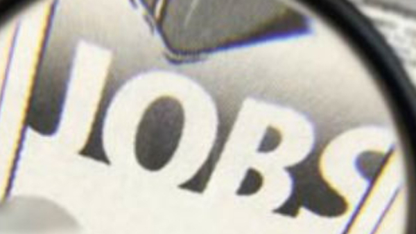 Job In Hassan District Apply For Various Post Know Details