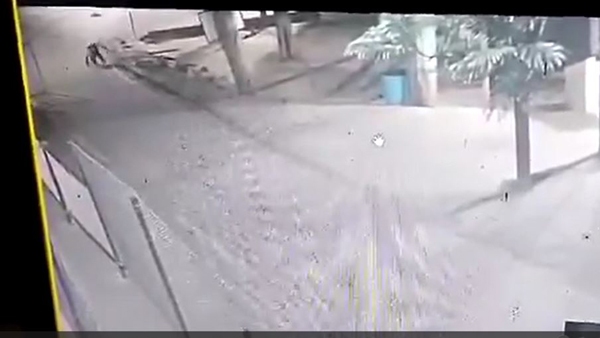 leopard in tirumala cctv camera captures the leopard scene