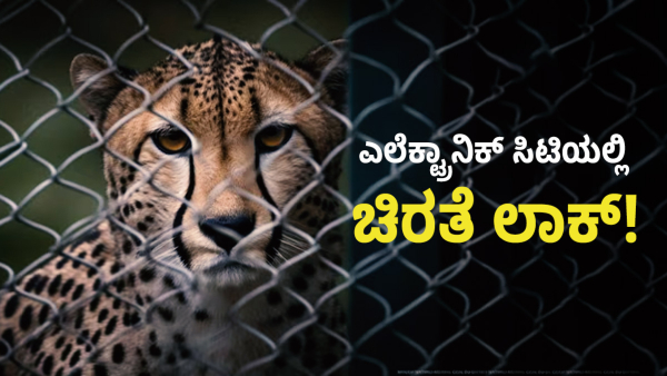 Forest Department Caught Leopard In Cage At Electronic City