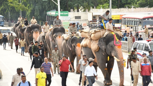 Special pooja for the cannon ahead of Mysuru Dasara know its significance Special pooja for the cannon ahead of Mysuru Dasara know its significance