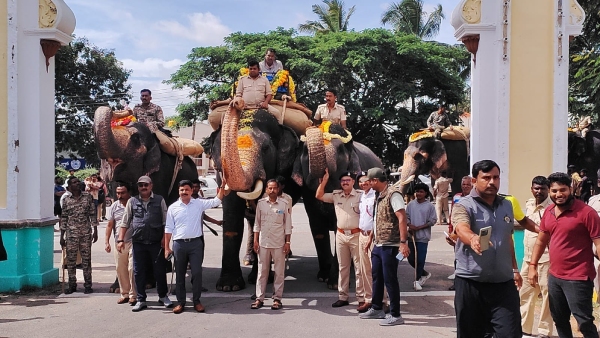 Mysuru Darsara Preparation Captain Abhimanyu Effortlessly Carries 520 kg