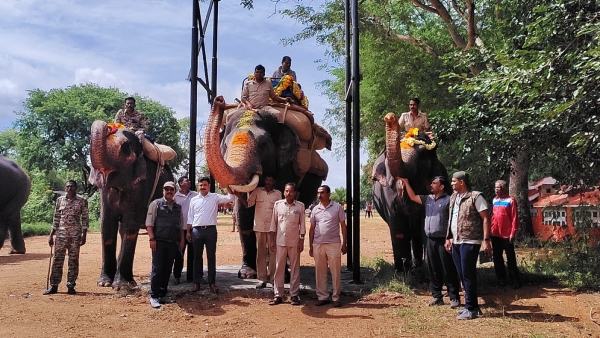 Mysuru Darsara Preparation Captain Abhimanyu Effortlessly Carries 520 kg