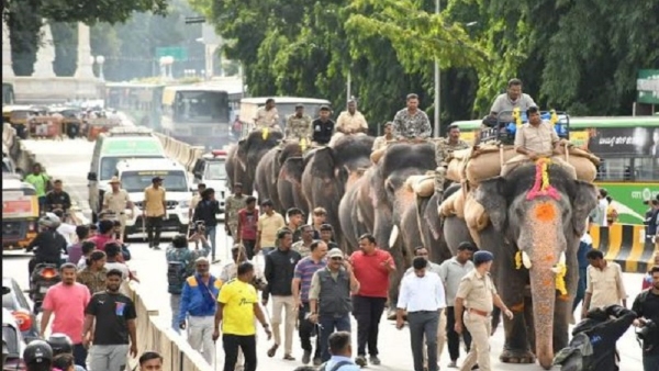 Mysuru Dasara 2024 Gajapade New Training Will Be For Dasara Jambusavari Mysuru Dasara 2024 Gajapade New Training Will Be For Dasara Jambusavari