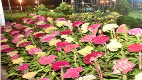 Mysuru Dasara 2024 Opportunity To Participate In Dasara Fruit amp amp Flower Show