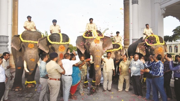 Mysuru Dasara 2024 Special Gajapuja For The Rowaris Of Jambusavari On Gauri Ganesha festival Mysuru Dasara 2024 Special Gajapuja For The Rowaris Of Jambusavari On Gauri Ganesha festival