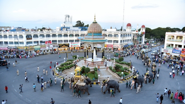 Mysuru Dasara 2024 Elephants Are Being Harnessed For The Mysore Dasara Kasagi Darbar