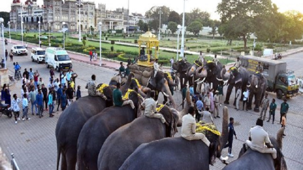 Mysuru Dasara 2024 Elephants Are The Most Important For Mysuru Dasara