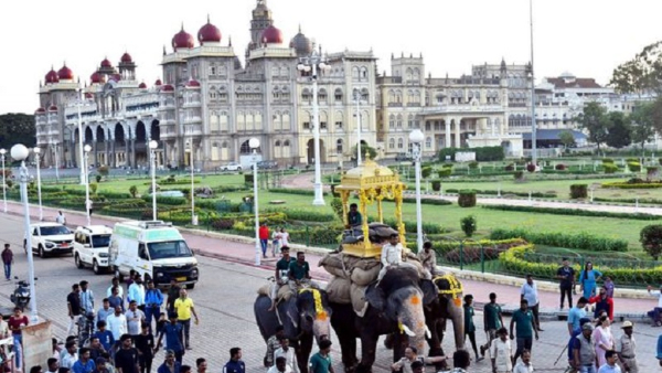 Mysuru Dasara 2024 Elephants Are The Most Important For Mysuru Dasara
