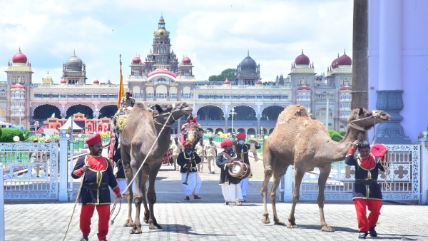 Mysuru Dasara 2024 Mysore Getting Ready For Dasara 2024 And Navratri Celebration
