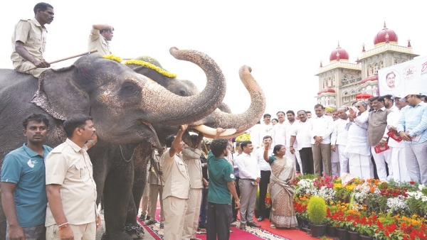 Mysuru Dasara 2024 Mini Jumbo Savari Today In Mysore Palace Ground