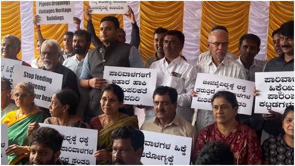 No Feeding of Pigeons in Front of Mysuru Palace