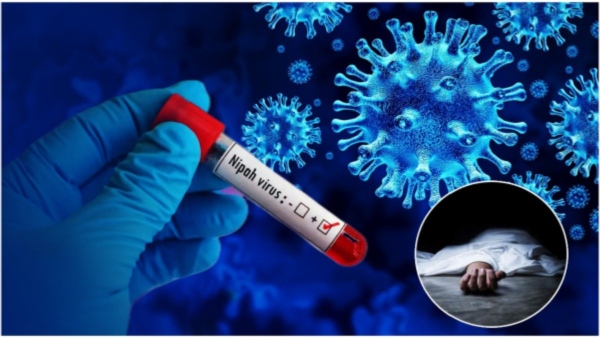It Is Suspected That Nipah Virus Has Spread To Karnataka As Well It Is Suspected That Nipah Virus Has Spread To Karnataka As Well