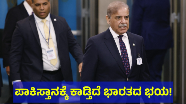 Pakistan PM Shehbaz Sharif Said This About Jammu And Kashmir