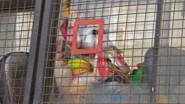 Prime Minister Modi Lashed Out At Karnataka Congress In Haryana