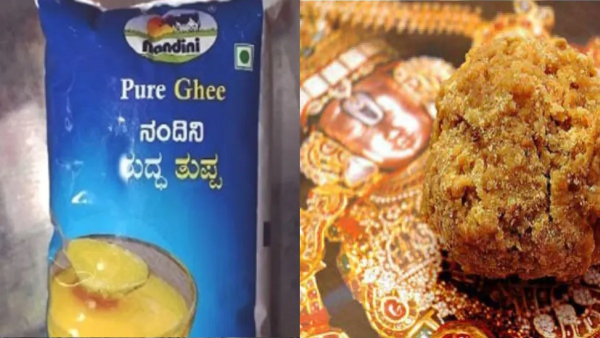 Tirumala srivari laddu controversy kmf ghee vehicle is tracked through GPS