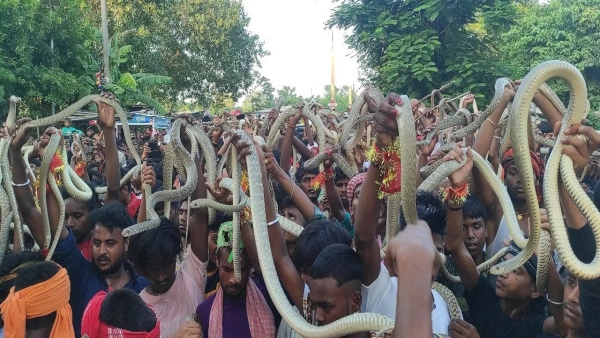 Bihar Snake Fair Snake fair takes place in this village of Bihar Bihar Snake Fair Snake fair takes place in this village of Bihar