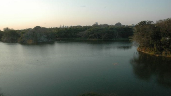 Urban Development Activities ipmact on Aquatic animals and Birds in Mysuru