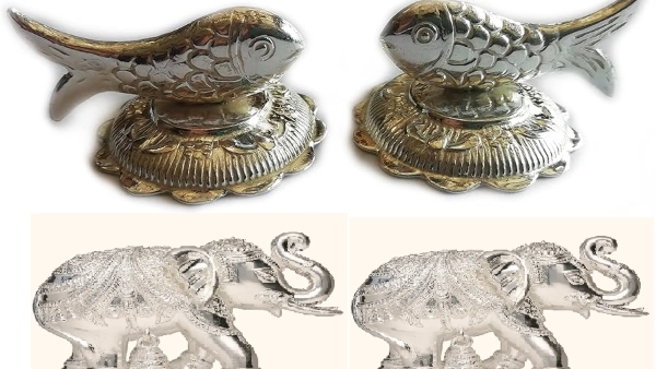 Dhanteras 2024 Vastu Tips for Money Bring silver fish and elephant home on Dhanteras is auspicious