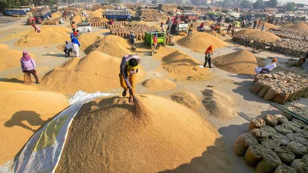 Central Cabinet Approved to Increased MSP for 6 Rabi Crops Check Price List