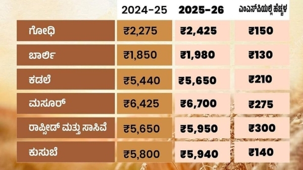 Central Cabinet Approved to Increased MSP for 6 Rabi Crops Check Price List