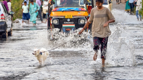 CM Siddaramaiah Reacton on Karnataka Rains Know details