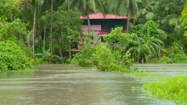 Crop damage due to heavy rains in Karnataka Sowing hampered - Farmers panic