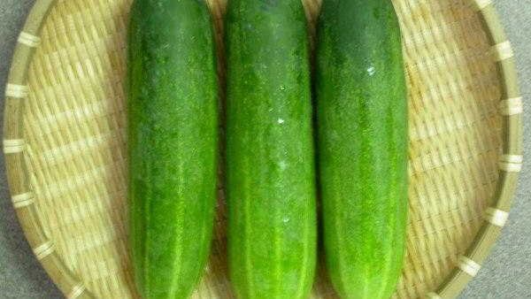 Cucumber Pakoda Recipe Know How to Make Southekayi Pakoda at Home in Kannada