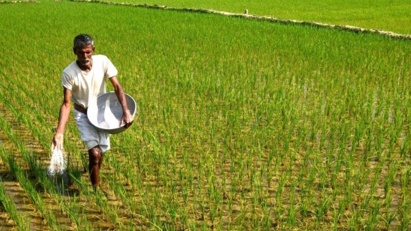 Farmers Of Vijayapur District Have Decided Not To Celebrate This Diwali Festival