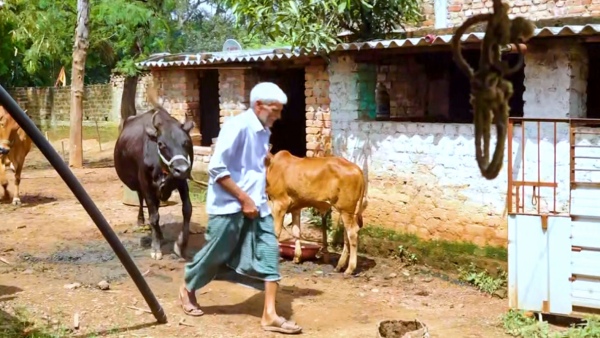 Information on Krishibhagya Scheme Assistance For Farmers In Kodagu District