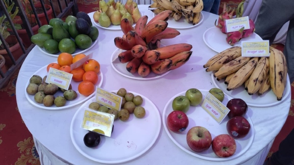 Fruit And Flower Exhibition In Hassan Starting October 26