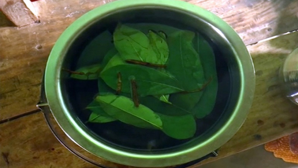 Health Tips Hanuman Fala Is The Best Medicine For Cancer Sufferers