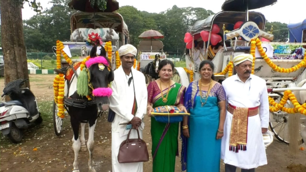 Successful horse cart ride mysuru dasara rain