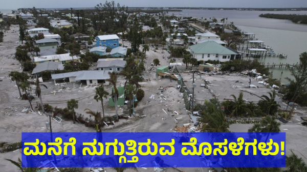 Alligators Fear Raised In Florida After Hurricane Milton