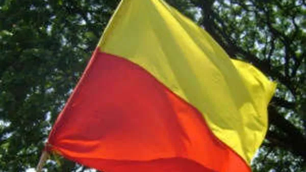 Opposition to Kannada Rajyotsava in Karnataka Preparations for Black Day