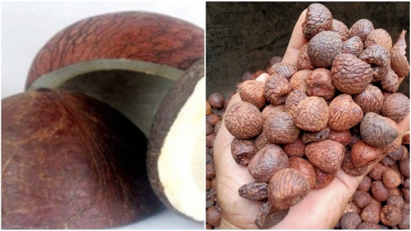 Kobri price surpasses Rs 18000 per quintal discover the arecanut price
